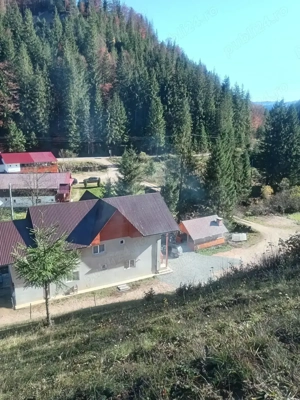 Cabana de închiriat 