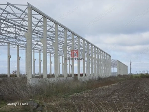 Inchiriere depozit hala spatiu industrial Mogosoaia - Buftea