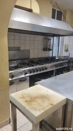 vand vila si restaurant 699000 euro cismigiu universitate atenrul roman - imagine 4