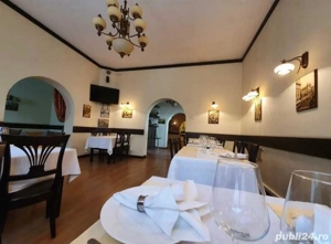 vand vila si restaurant 699000 euro cismigiu universitate atenrul roman - imagine 14