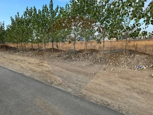 Teren 9400 mp Strada Gura solcii - imagine 10