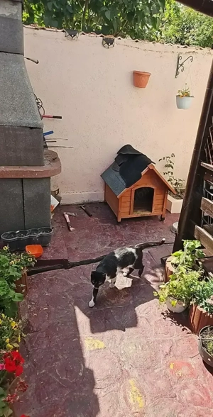 Vând casa  - imagine 6