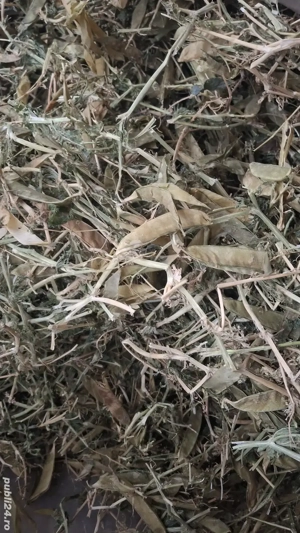 Vând baloti de mazăre 