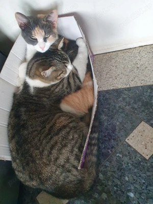 Dorim...o schimbare...de domiciliu!