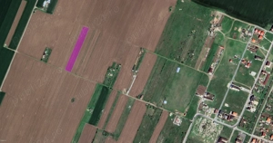 Vand teren intravilan 5000 m.p. costinesti - imagine 3