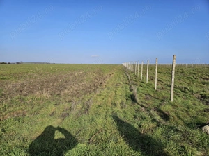 Vand teren intravilan 5000 m.p. costinesti - imagine 4