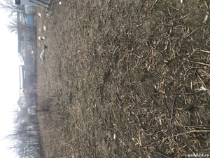 Închiriez teren intravilan - imagine 3