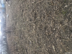 Închiriez teren intravilan