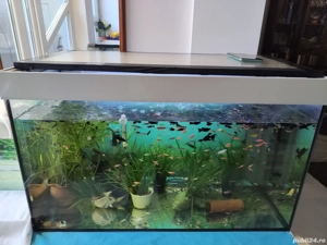 Acvariu Eheim 144 l  - imagine 2