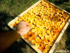 Fructe Uscate   100% NATURALE - imagine 2