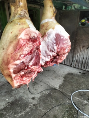 De consum foarte frumosi - imagine 5