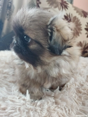 Băiat , deparazitat cu primul vaccin făcut si carnet de sănătate - imagine 4