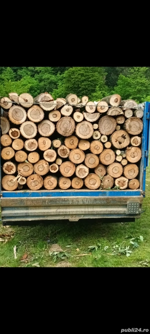 Vânzare lemne de foc