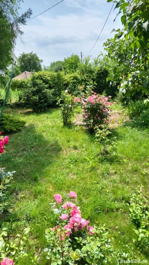 Casa P+M 5 camere + o garsoniera Sat  Prunaru  Jud Teleorman 50 km de Bucuresti  - imagine 2