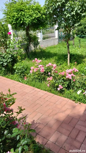 Casa P+M 5 camere + o garsoniera Sat  Prunaru  Jud Teleorman 50 km de Bucuresti  - imagine 4