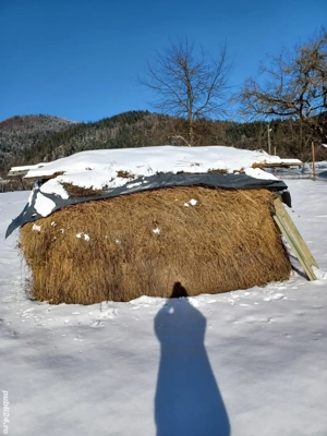 Vând fân pentru animale