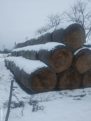 Vând sau schimb baloți de paie  - imagine 2