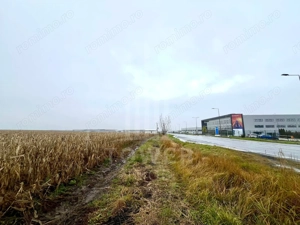 Teren Intravilan | Zona Industriala Vest | 20.663 mp - imagine 12