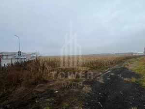 Teren Intravilan | Zona Industriala Vest | 20.663 mp - imagine 13