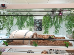 Terariu 120x60x60 cm