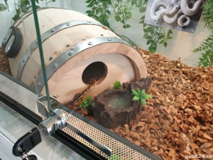 Terariu 120x60x60 cm - imagine 4