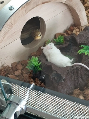 Terariu 120x60x60 cm - imagine 3