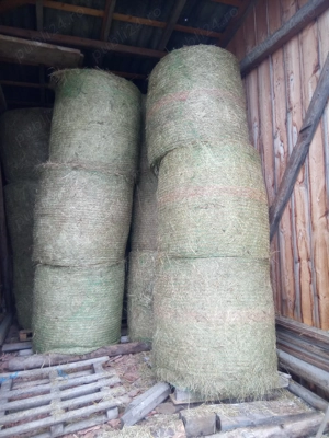 Baloti de fan rotund