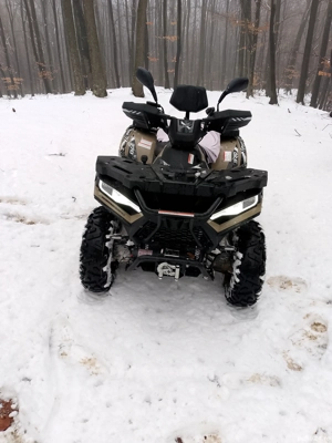 Linhai  promax 370cc  - imagine 4