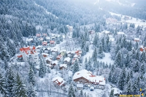 Descopera oportunitatea! Imobiliar Transfer Business in inima statiunii Poiana Brasov, Romania