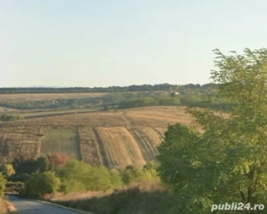 Teren agricol judet Timis