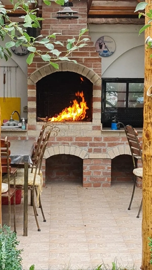 Cazare Casa Aryan    - imagine 5