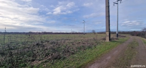 Vand teren intravilan , pret avantajos.  - imagine 3