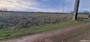 Vand teren intravilan , pret avantajos.  - imagine 5