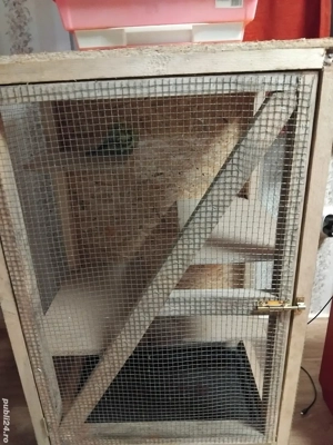 Colivie cusca animale păsări  - imagine 3