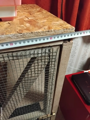 Colivie cusca animale păsări  - imagine 4