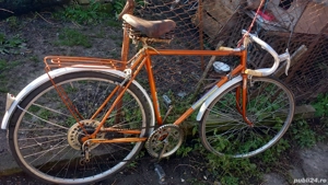 semicursiera ruseseasca 