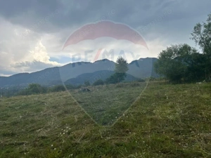 Teren 857mp Zarnesti / Strada F.N - imagine 3