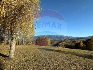 Oportunitate de investiţie ! Teren de vis în Pestera - 125.370 mp