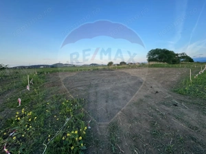 Teren intrare Sanpetru 668mp, str Tudor Arghezi-zona cartier Subcetate - imagine 5