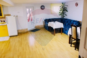Casă / Vilă cu 6 camere de vânzare în zona Oncea - imagine 14