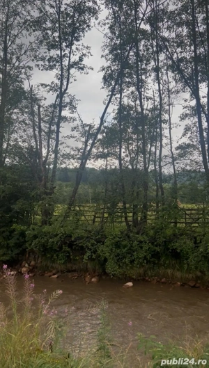 Teren intravilan 2000 mp în Neagra Șarului   zonă liniștită, superbă - imagine 3