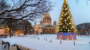 Director Dezvoltare salariu 1,369 euro lunar  - imagine 2