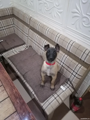 Donez sau schimb - imagine 2