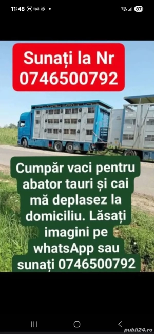 cumpar vaci pentru abator