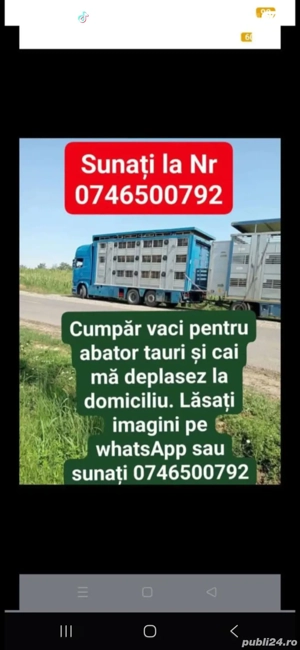 cumpar animale pentru abator