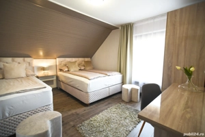 Casă de vânzare 3 apartamente separate - Ungaria-Morahalom - imagine 7