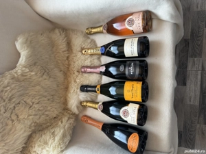 Vand sampanie/vinuri 