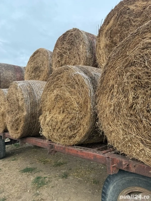  Baloti de Paie Rotunzi de Grau si Orz