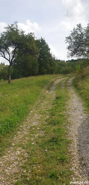 teren de vanzare - imagine 2