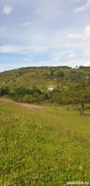 teren de vanzare - imagine 3